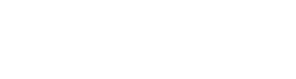 NGD Development